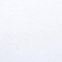 Холст на подрамнике 1,6х20х40 см, хлопок 100%, акриловый грунт, мелкозернистый, 280г/м² Холст на подрамнике 1,6х20х40 см, хлопок 100%, акриловый грунт, мелкозернистый, 280г/м²