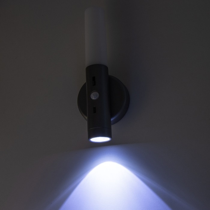 Бра с датчиком движения "Юник" LED 3000/7000K USB АКБ серебро 7х3х20 см