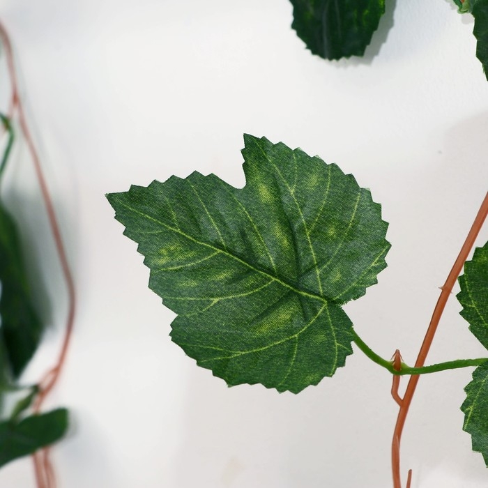 Лиана Лиана "Смородиновый лист" 250 см (цена за 1 шт, в упаковке 5 шт)