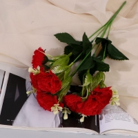 Букет "Гвоздика Айрис" 4х31 см, микс Букет "Гвоздика Айрис" 4х31 см, микс