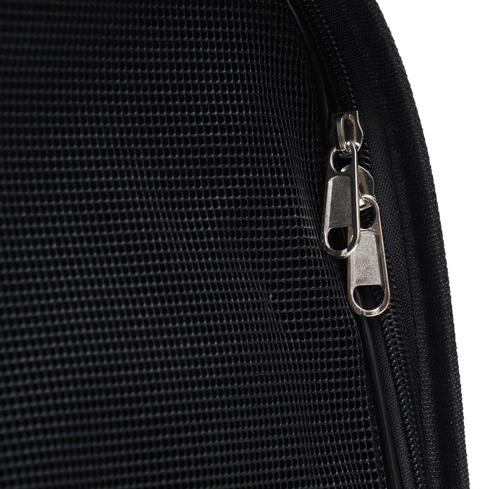 Сумка - переноска для животных Камуфляж, размер M, 43 х 21 х 26 см