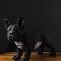 Фигура гипс &laquo;Французский бульдог&raquo;, 14&times;34&times;25 см, чёрный
