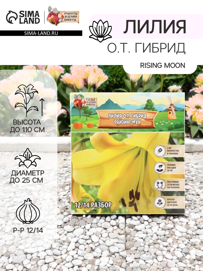 Лилия О.Т. Гибрид Rising Moon, луковица в пакете с перфорацией, р-р 12/14, 2 шт.