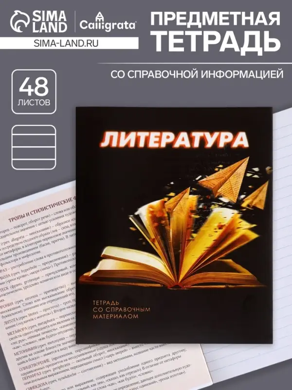 Тетрадь предметная 48 листов в линейку Calligrata &laquo;3D. Литература&raquo;, серые листы