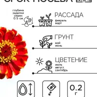Семена цветов Цинния "Сомбреро", 0,2 г