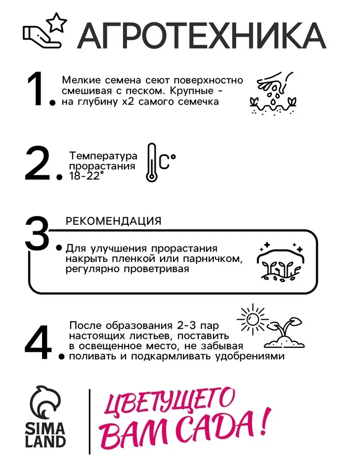 Семена цветов Нивянник, многолетний, белый 0,1 г