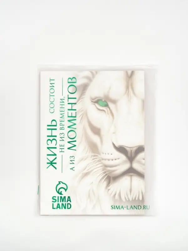 Пакет подарочный &laquo;Новогодняя сказка&raquo;, с ободком, 31 &times; 11 &times; 40 см