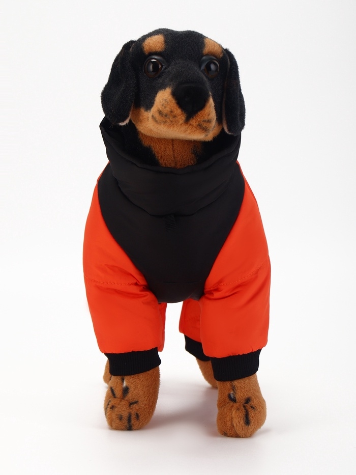 Комбинезон "Тренд", оксфорд, M (ДС 27, ОШ 29, ОГ 38 см, вес 5-8 кг), оранжевый