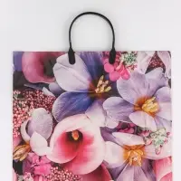 Пакет "Ванда", полиэтиленовый с пластиковой ручкой, 38 х 34 + 3 см, 90 мкм