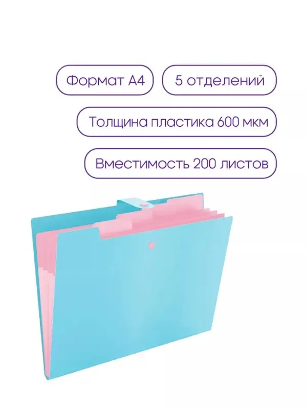Папка А4, 5 отделений, Calligrata, 600 мкм, на кнопке, голубая, матовая