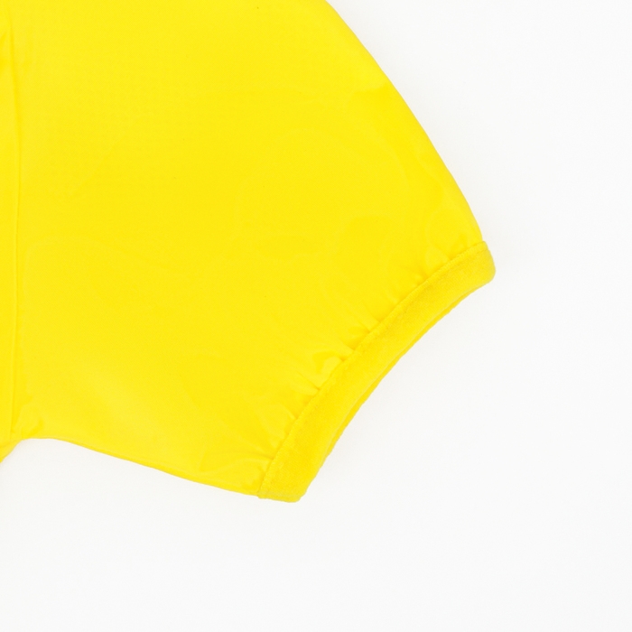 Комбинезон для собак, демисезонный с подкладом, размер S (ДС 25, Ог 37см), жёлтый Комбинезон для собак, демисезонный с подкладом, размер S (ДС 25, Ог 37см), жёлтый