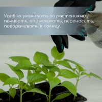 Кассета для рассады, 10 ячеек по 100 мл, набор 5 шт., чёрная