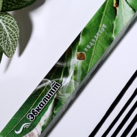 Благовония "Очарование востока Эвкалипт", 20 палочек в упаковке