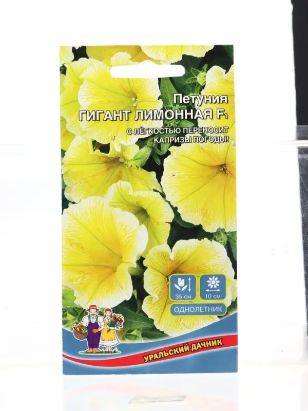 Семена Цветы Петуния Гигант лимонная F1 (УД) Е/П , Е/П,  10 шт.