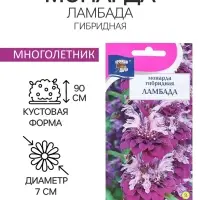 Семена цветов Монарда гибридная "Ламбада", 0,03 г
