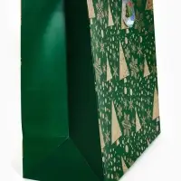 Подарочный пакет &laquo;Новогодний&raquo;, зелёный 40 &times; 40 &times; 40 см