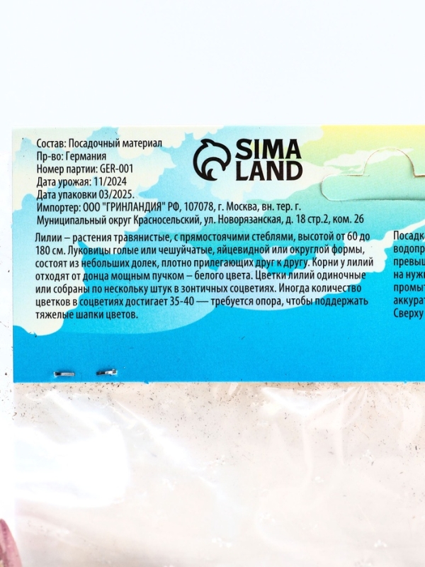 Лилия &laquo;Ориентал Диззи&raquo;, луковица в пакете с перфорацией, р-р 14/16, 2 шт.