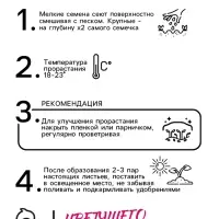 Семена цветов Дельфиниум "Тихоокеанские гибриды", ц/п,  0,05 г