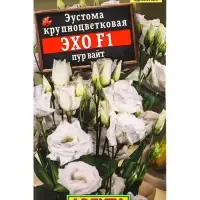Семена цветов Эустома Эхо F1 пур вайт крупноцветковая  (драже в пробирке) С. Sakata, Ц/П,5 шт. 10945