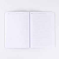 Ежедневник А5+, 100 л. Мягкая обл. Софт-тач "Власть и успех"