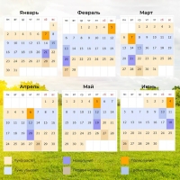 Семена Редис "18 дней", 3 г набор 2 шт Семена Редис "18 дней", 3 г набор 2 шт