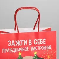 Пакет подарочный новогодний &laquo;Зажги в себе&raquo;, 22 х 22 х 11 см