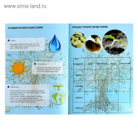 Набор для опытов &laquo;Наука о растениях&raquo;, 16 опытов