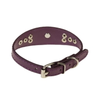 Ошейник-селедка со щенком, 29-32 х 2,5 см, искусственная кожа, фиолетовый