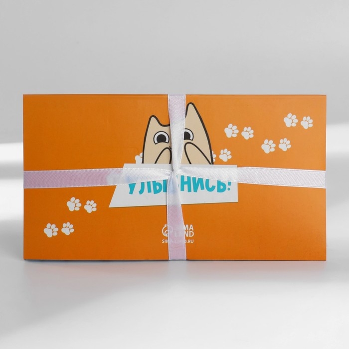 Подарочный набор Подарочный набор "Котопланинг" планинг и ручка