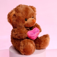 Мягкая игрушка &laquo;Ты дороже всего на свете&raquo;, медведь, цвета МИКС