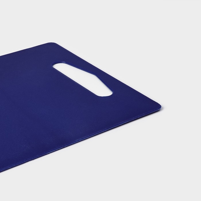 Доска разделочная пластиковая Доляна &laquo;Хозяюшка&raquo;, прямоугольная, 28&times;18 см, цвет синий