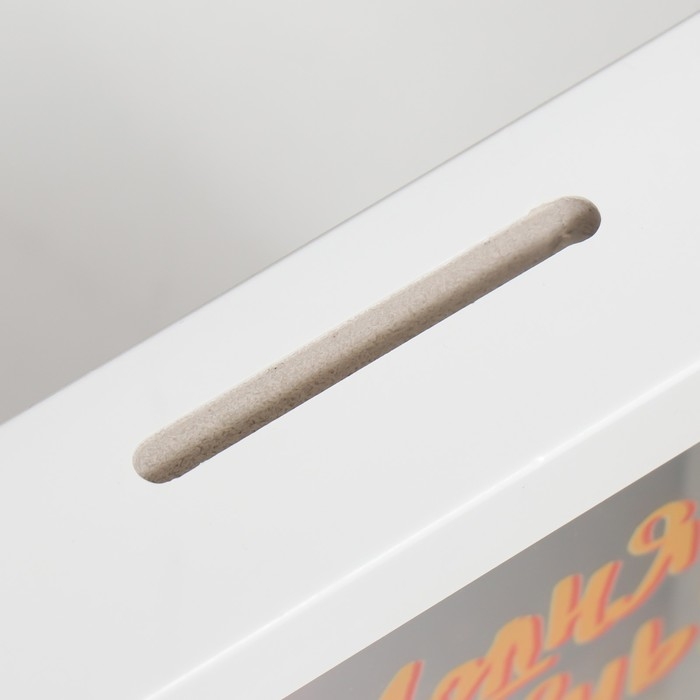 Копилка интерьерная пластик "Сегодня твой день!" 17х12х3,8 см