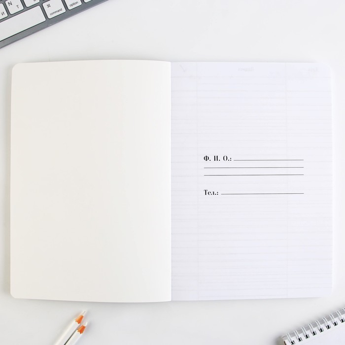 Подарочный набор &laquo; С днём учителя&raquo;: ежедневник А5, 96 листов и ручки софт-тач