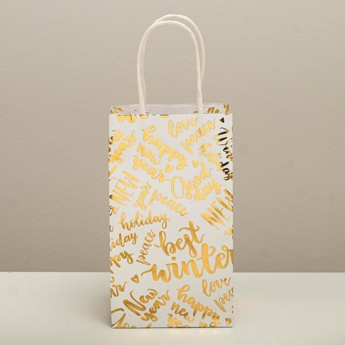 Пакет подарочный новогодний крафтовый «Best winter», 12 х 21 х 9 см, Новый год Пакет подарочный новогодний крафтовый «Best winter», 12 х 21 х 9 см, Новый год