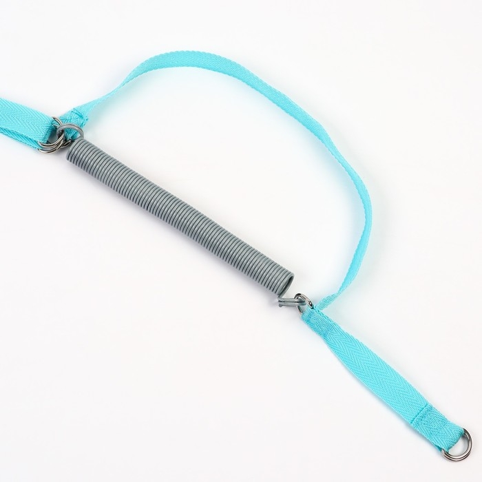 Прыгунки №1, 2в1 &laquo;Ёжики&raquo; (прыгунки, качели, тарзанка)