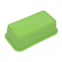 Ящик для выращивания зелёного лука, 29 &times; 16 &times; 8,5 см, 2,5 л, 10 лунок, зелёный, Greengo