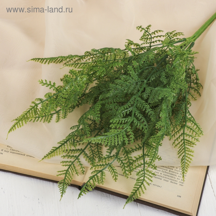 Букет Букет "Папоротник" 40 см