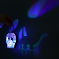 Ночник "Череп" LED 1Вт RGB от батареек LR1130 бело-черный 9,5х4х5см RISALUX Ночник "Череп" LED 1Вт RGB от батареек LR1130 бело-черный 9,5х4х5см RISALUX