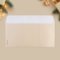 Набор подарочных конвертов &laquo;С Новым годом&raquo;, 10 штук, тиснение, 22 х 11 см, Новый год