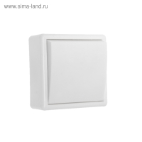 Выключатель "Элект" А 16-116, 6 А, 1 клавиша, наружный, белый