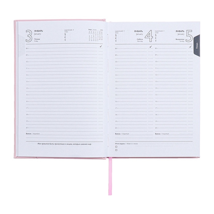 Ежедневник датированный 2025 года, А5, 176 листов ESCALADA, твердая обложка из искусственной кожи с поролоном, блинтовое тиснение, ляссе, блок 70 г/м2, розовый Ежедневник датированный 2025 года, А5, 176 листов ESCALADA, твердая обложка из искусственной кожи с поролоном, блинтовое тиснение, ляссе, блок 70 г/м2, розовый