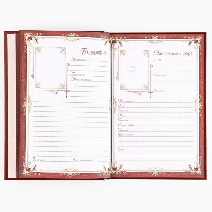 Подарочный набор родословная книга в шкатулке &laquo;Новый год: Дед мороз&raquo;