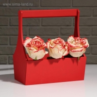 Кашпо деревянное "Виллиан Лонг", с ручкой, красный, 25&times;12,5&times;10(28) см