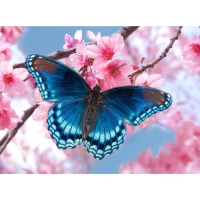 Алмазная мозаика с частичным заполнением на холсте &laquo;Бабочка&raquo;, 15 х 21 см