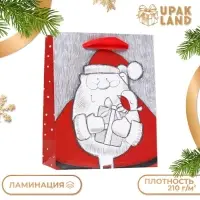 Пакет ламинированный &laquo;Подарки Деда Мороза&raquo; 11,5 х 14,5 х 6 см