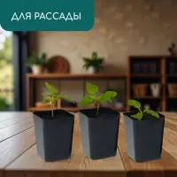 Горшок для рассады, 800 мл, d=9 см, h=12.5 см, пластик, МИКС, Greengo