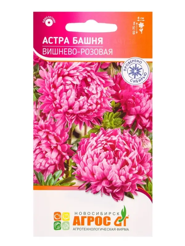 Семена Астра Башня Вишнево-Розовая 0,3 г