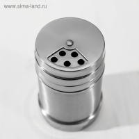 Солонка из нержавеющей стали «Металлик», 280 мл, 6,3×10,5 см, цвет серебряный Солонка из нержавеющей стали «Металлик», 280 мл, 6,3×10,5 см, цвет серебряный