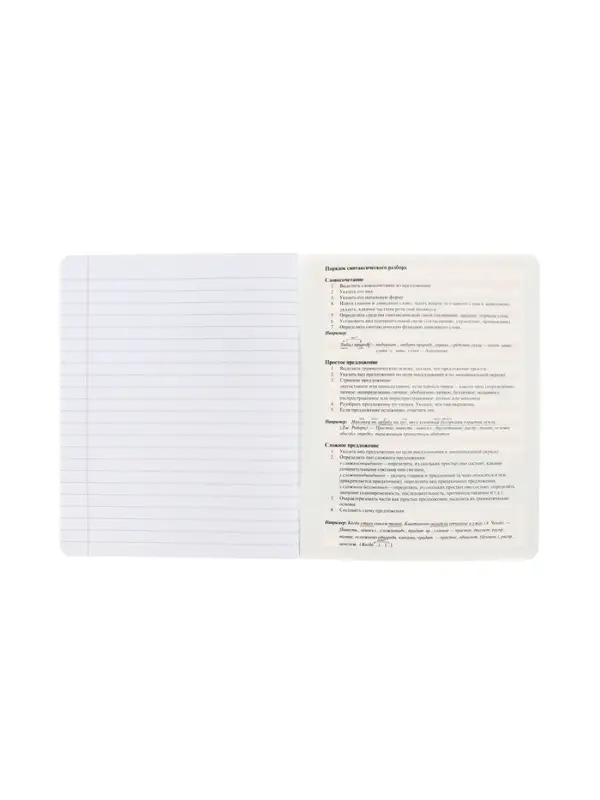 Тетрадь 48 листов в линию &laquo;Буквица&raquo; Русский язык, белые листы