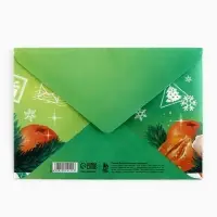 Письмо Деду Морозу, конверт А5, с раскраской &laquo;Новый год: Змейка с мандарином&raquo;
